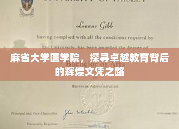 麻省大学医学院，探寻卓越教育背后的辉煌文凭之路