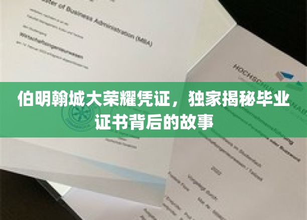 解码伯明翰荣耀，毕业证书背后的传奇历程