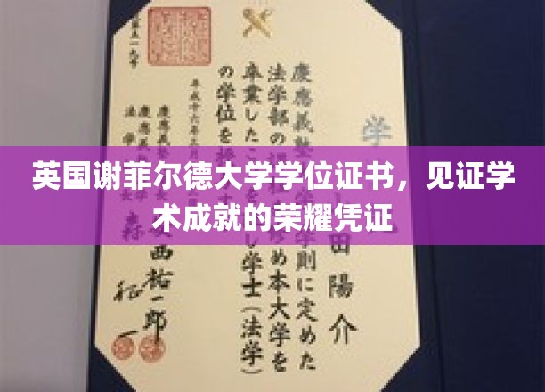 英国谢菲尔德大学学位证书，见证学术成就的荣耀凭证