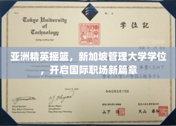 亚洲精英摇篮，新加坡管理大学学位，开启国际职场新篇章