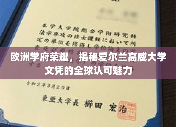 爱尔兰高威大学，全球认可的学术明珠，探索其欧洲教育荣耀之路
