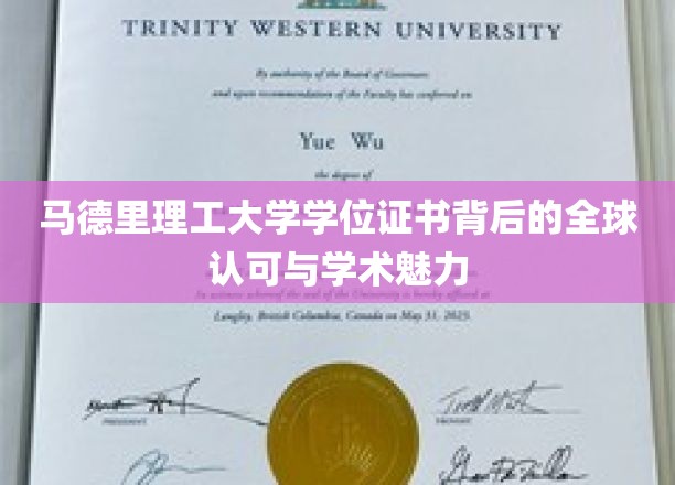 马德里理工大学学位，跨越国界的学术荣耀与全球认可之光
