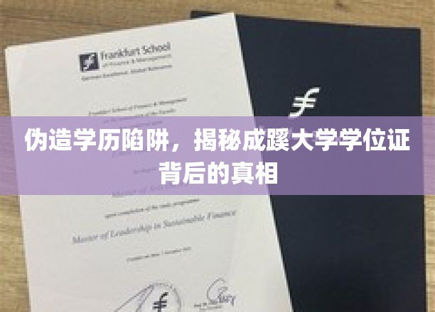 成蹊大学学位证疑云，伪造学历陷阱下的真实面貌