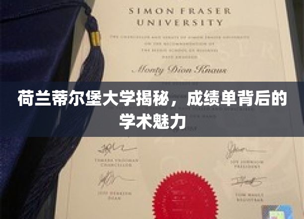 荷兰蒂尔堡大学，探秘成绩单背后的学术风采