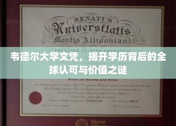 韦德尔大学学历，探索国际通行证背后的奥秘与价值