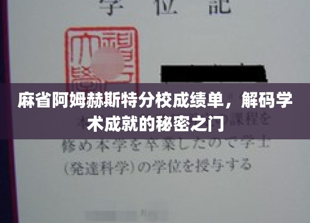 解锁麻省阿姆赫斯特分校成绩单，揭秘学术辉煌的神秘钥匙