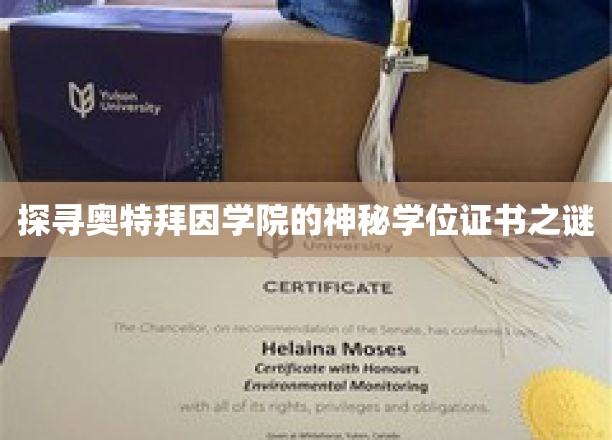 奥特拜因学院，揭开隐藏学位证书的神秘面纱