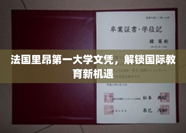 法国里昂第一大学文凭，解锁国际教育新机遇