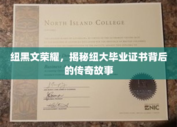纽黑文荣耀，揭秘纽大毕业证书背后的传奇故事