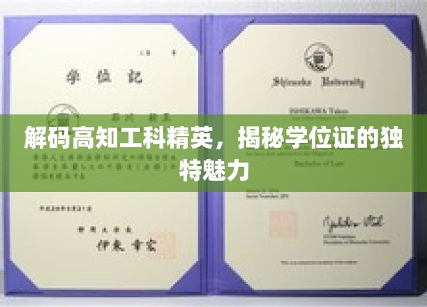 解锁高知工科精英背后的学位证魅力之谜