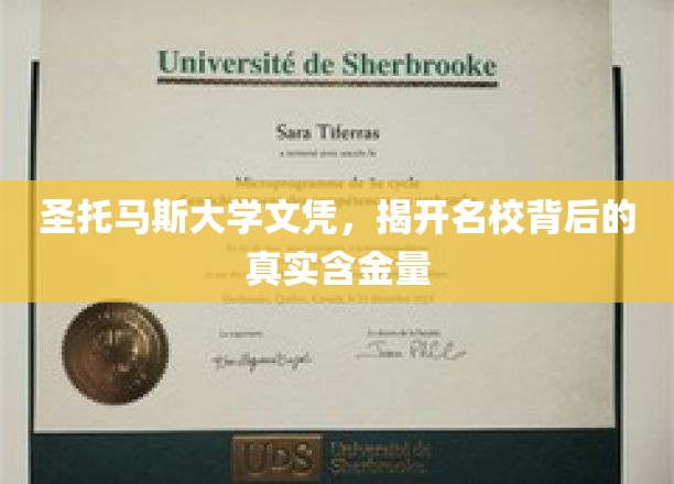 圣托马斯大学文凭，彰显名校的卓越价值