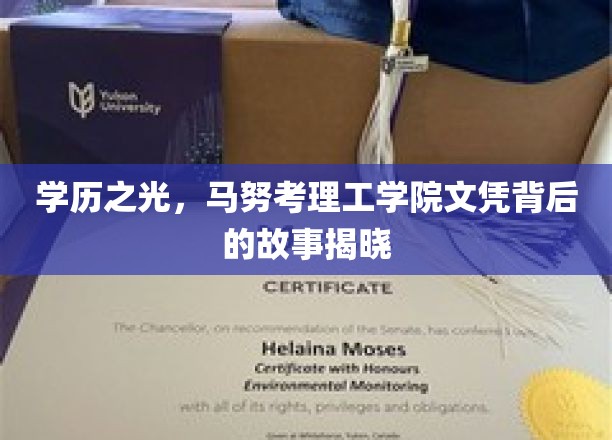 学历之光，马努考理工学院文凭背后的故事揭晓
