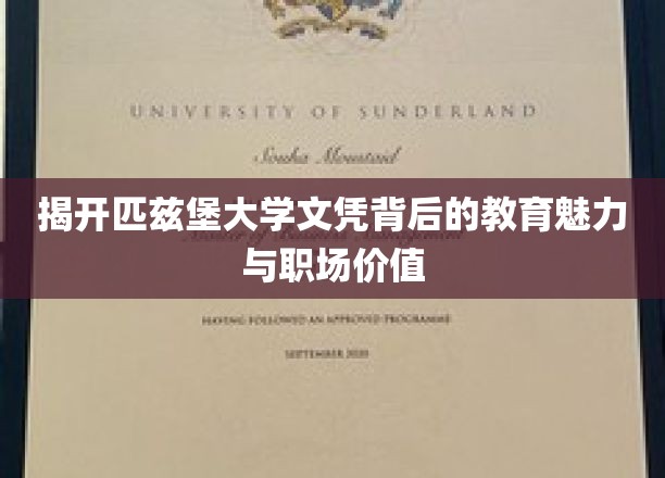 揭开匹兹堡大学文凭背后的教育魅力与职场价值