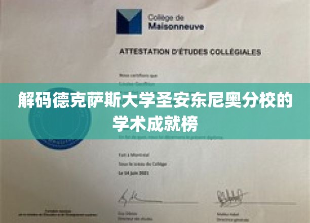 德克萨斯大学圣安东尼奥分校，揭秘顶尖学术背后的辉煌成就