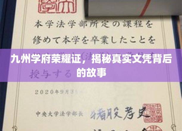 文凭背后，九州学府荣耀见证不凡传奇
