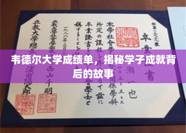 探寻韦德尔学子荣耀背后的精彩篇章