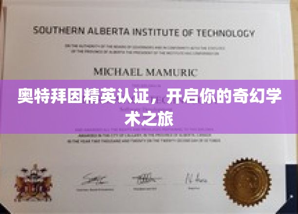 穿越奥特拜因，解锁非凡学术秘境
