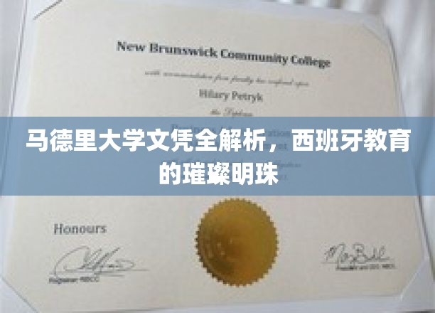 探秘马德里大学，西班牙教育界的璀璨瑰宝