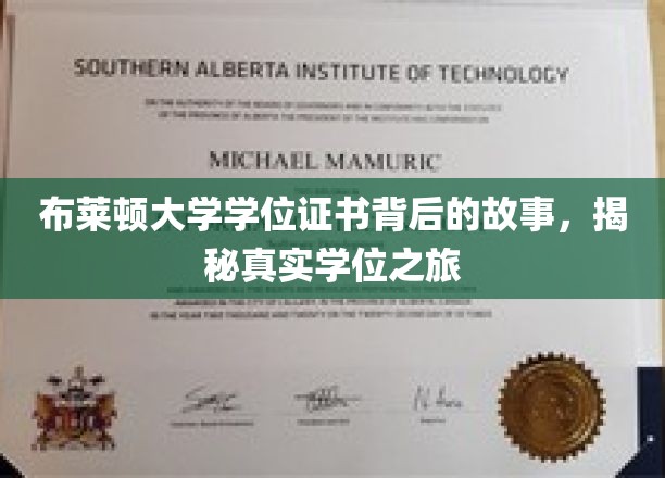 布莱顿大学学位证书背后的故事，揭秘真实学位之旅