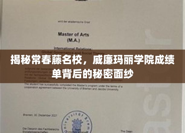 常春藤传奇，威廉玛丽学院成绩单背后的神秘面纱大揭秘
