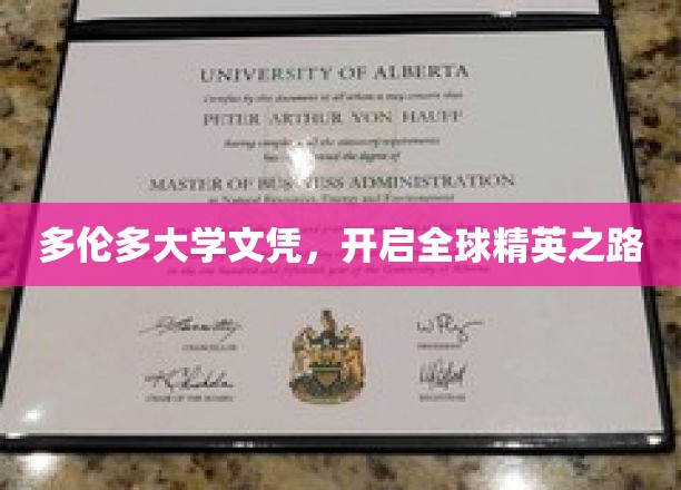 多伦多大学文凭，开启全球精英之路