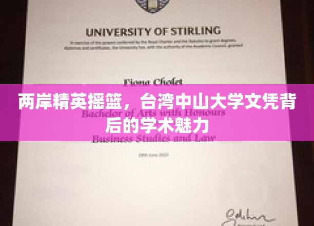 台中大放异彩，两岸精英汇聚，揭秘文凭背后的学术传奇