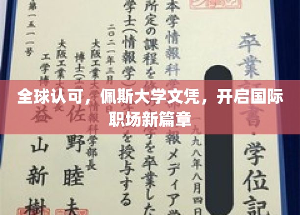 全球认可，佩斯大学文凭，开启国际职场新篇章