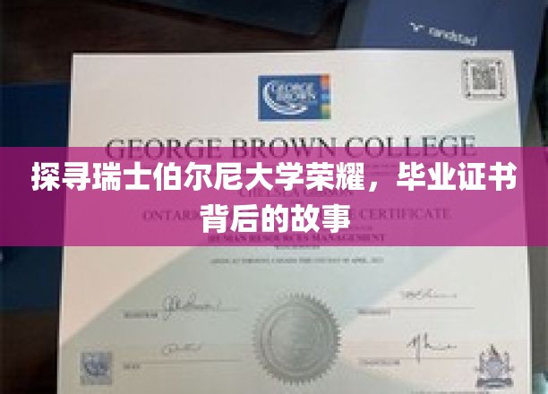 揭开瑞士伯尔尼大学传奇，毕业证书背后的神秘面纱