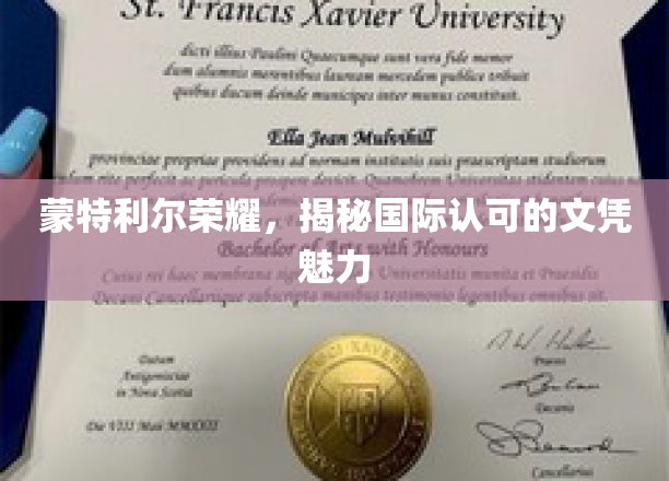 蒙特利尔荣耀，探寻国际文凭的非凡吸引力