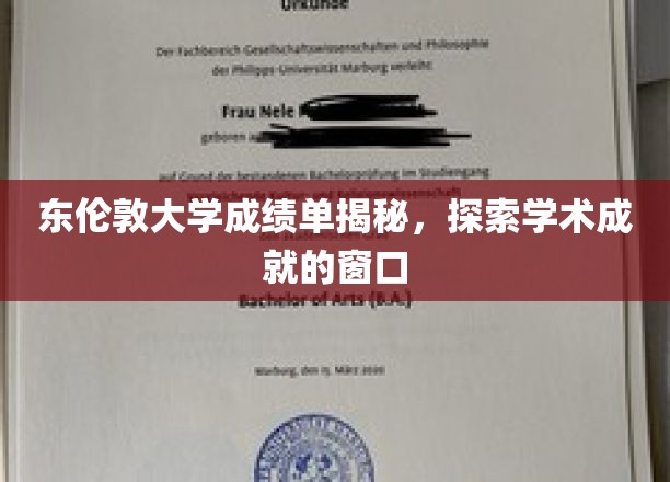 东伦敦大学成绩单揭秘，探寻学术成就的窗口