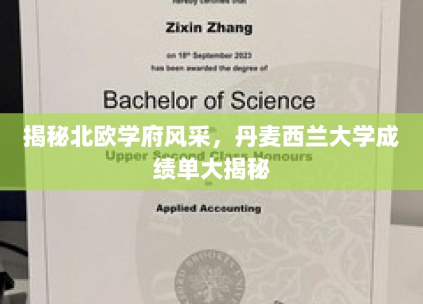 领略北欧教育魅力，丹麦西兰大学成绩单背后的秘密揭晓