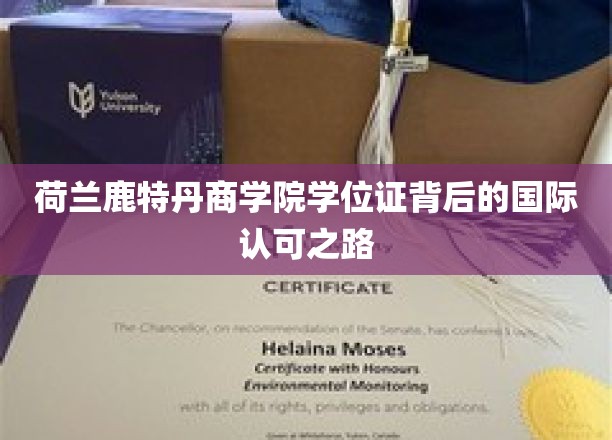 跨国认可奥秘，鹿特丹商学院学位证的国际通行证之路