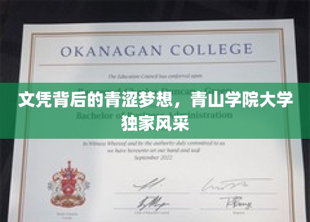 文凭背后的青涩梦想，青山学院大学独家风采