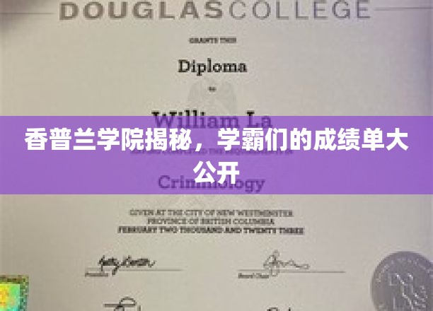 香普兰学霸秘籍，成绩单背后的学霸养成记
