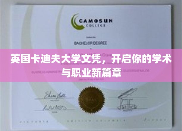 卡迪夫大学文凭钥匙，解锁学术与职场双重未来