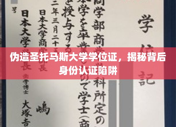 伪造圣托马斯大学学位证，揭秘背后身份认证陷阱