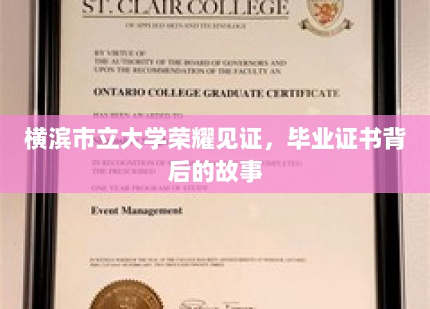 横滨荣耀，揭秘毕业证书背后的大学传奇