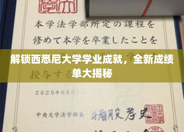 西悉尼大学学霸养成记，一窥非凡学业成绩背后的秘密宝藏