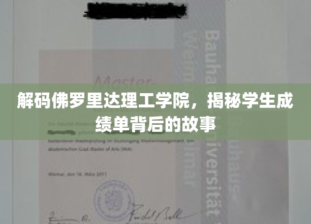 解码佛罗里达理工学院，揭秘学生成绩单背后的故事