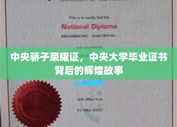 中央骄子荣耀映，揭秘毕业证书背后的传奇历程