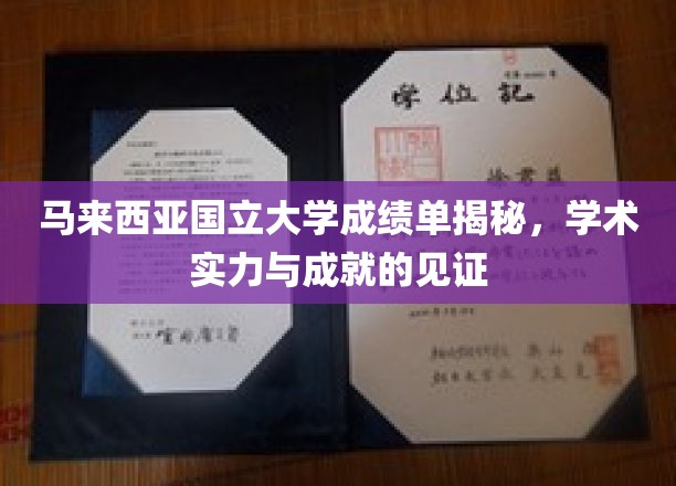马来西亚国立大学成绩单揭秘，学术实力与成就的见证