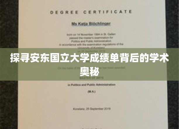 揭开安东国立大学成绩单背后的学术奥秘