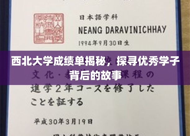 西北骄子风采录，解码西北大学学霸之路
