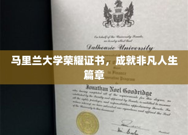 马里兰大学荣耀见证，非凡人生新篇章启航