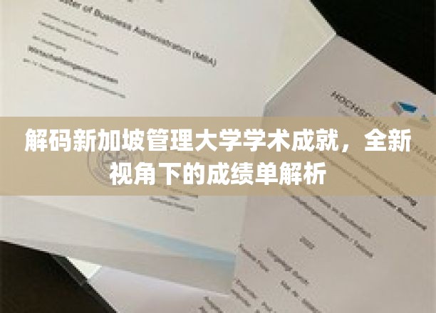 解码新加坡管理大学学术成就，全新视角下的成绩单解析