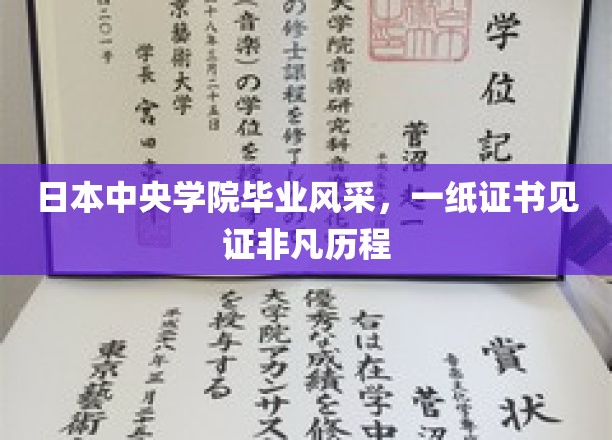 中央学院荣耀时刻，毕业证书映照非凡学子之路
