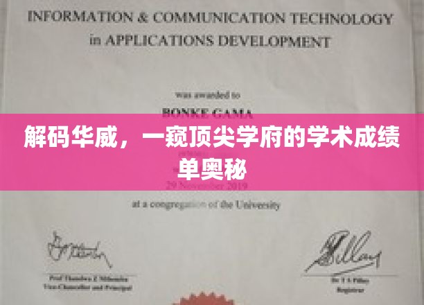 解码华威，一窥顶尖学府的学术成绩单奥秘