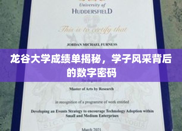 龙谷学子成绩单解码，揭开大学风采背后的数字秘密