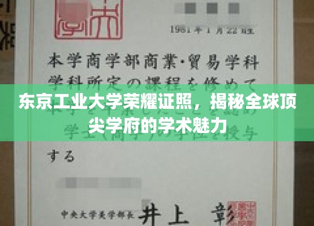 东京工业大学荣耀证照，揭开全球顶尖学府的学术魅力