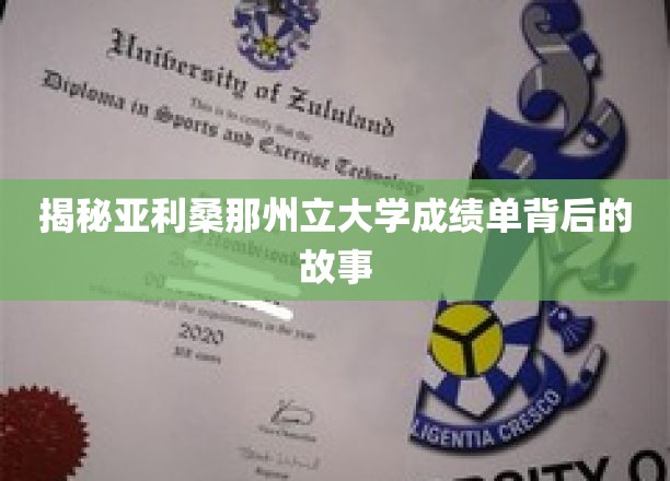 解码亚利桑那州立大学成绩单，隐藏的学术秘密大揭秘